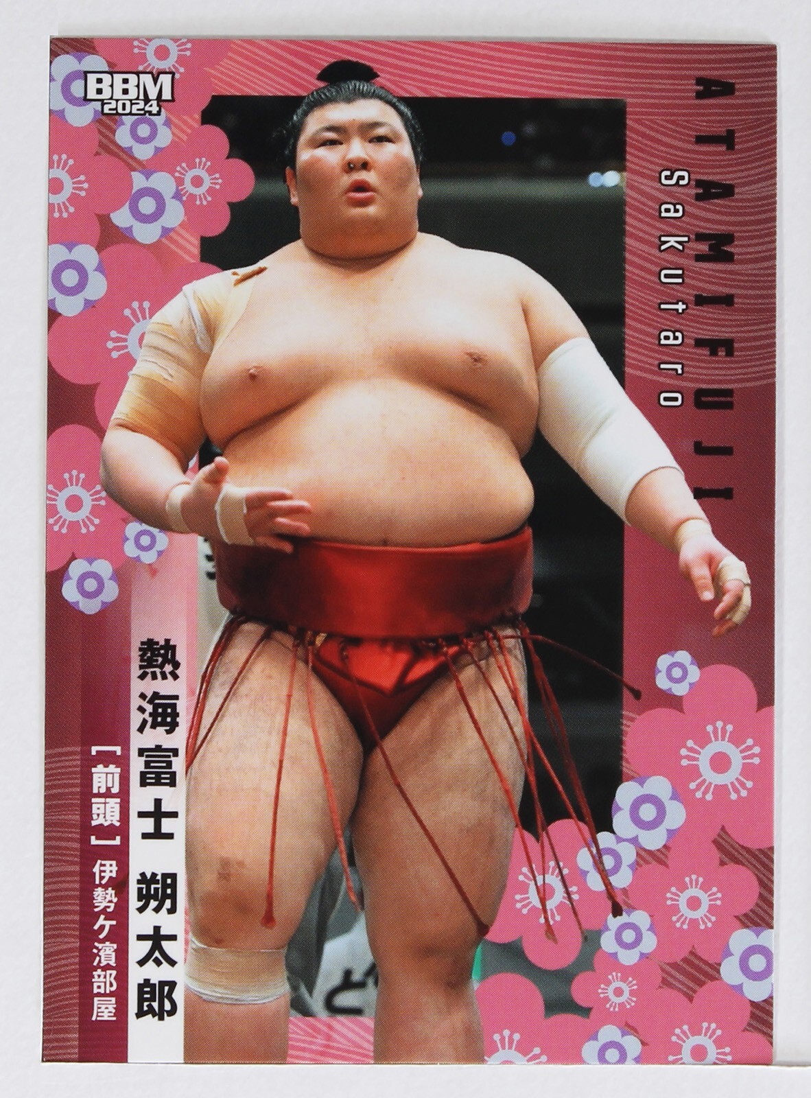 ゲームセンター・ゲームカード PLAY OFF ABSOLUTE MEMORABILIA ゲームセンター・ゲームカード PLAY OFF ABSOLUTE MEMORABILIA