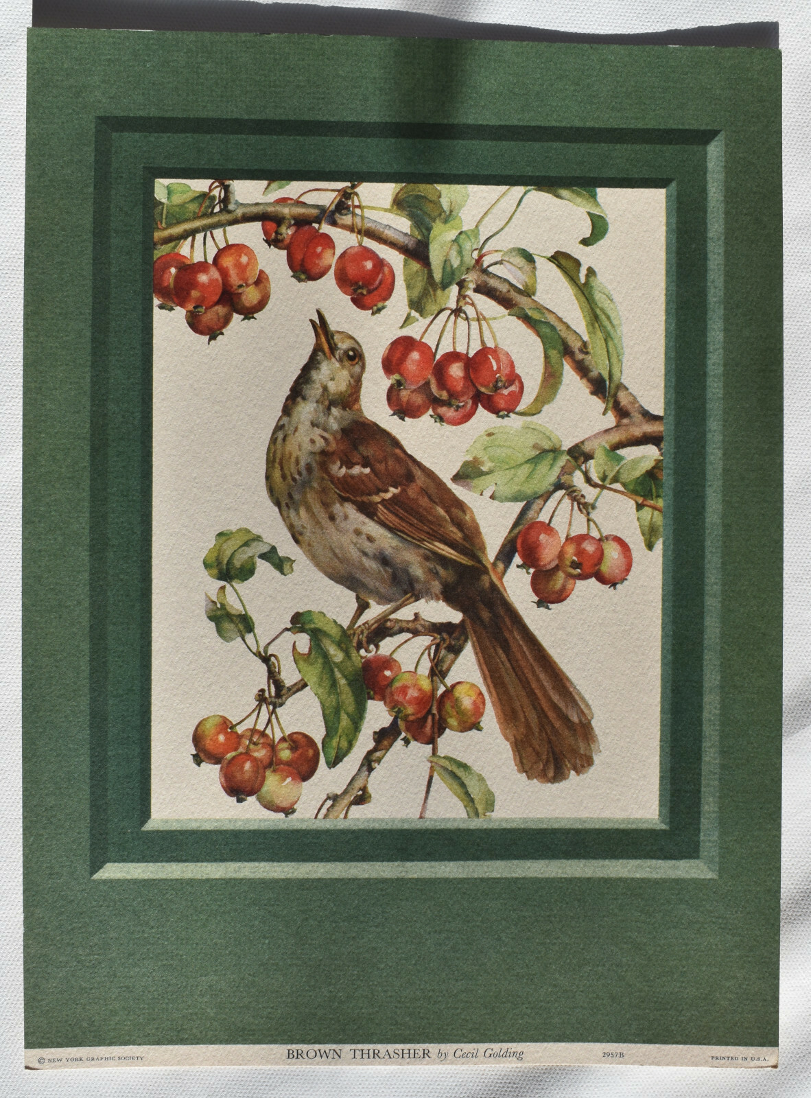 セシル・ゴールディング（Cecil Golding）プリントアート 2点セット Vintage 1970 Cecil Golding Bird Art Prints Set of 3 Framed
