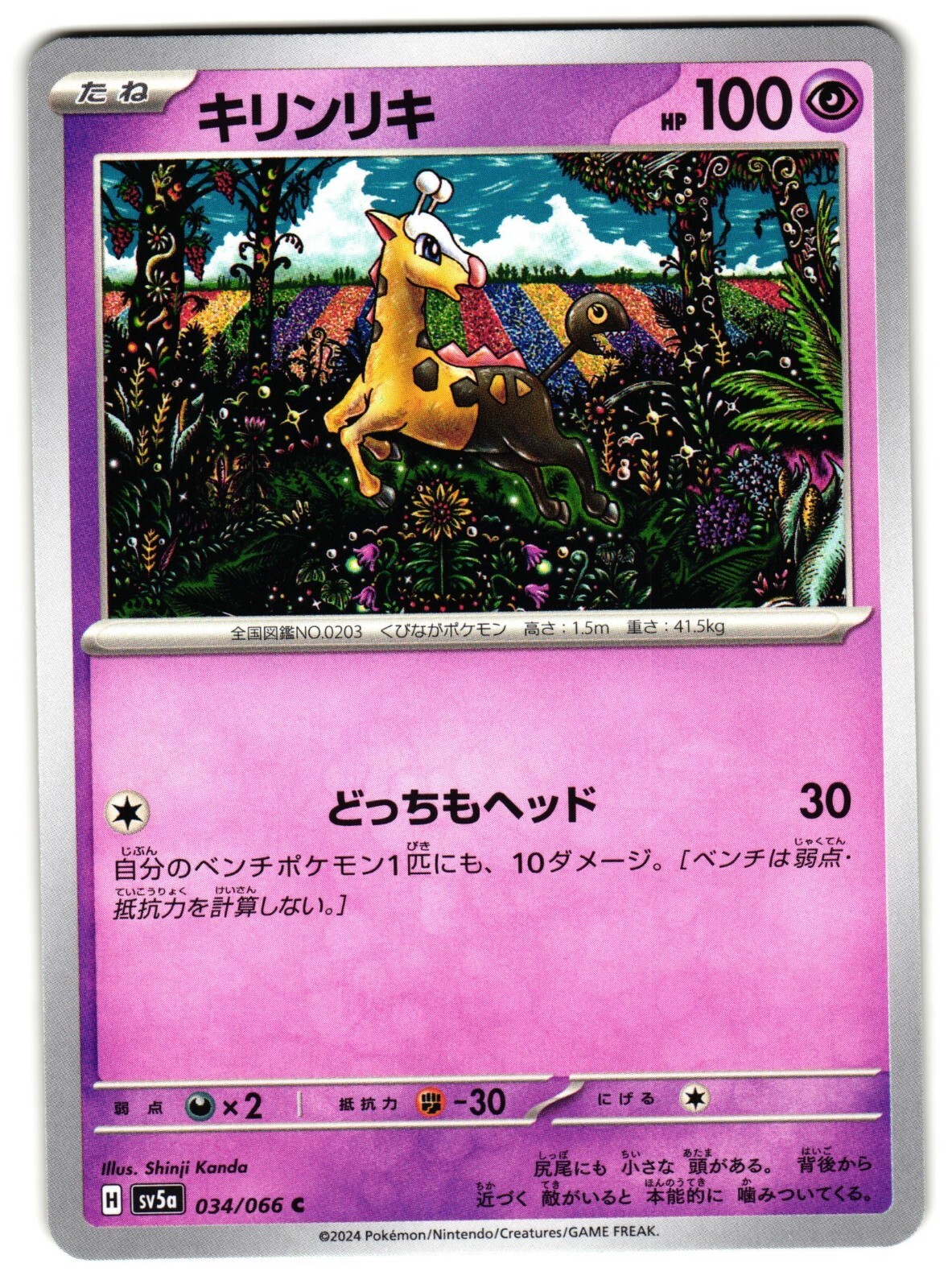 ポケモンカードゲーム レイジングサファリ 強化拡張パック「レイジングサーフ」 | ポケモンカードゲーム