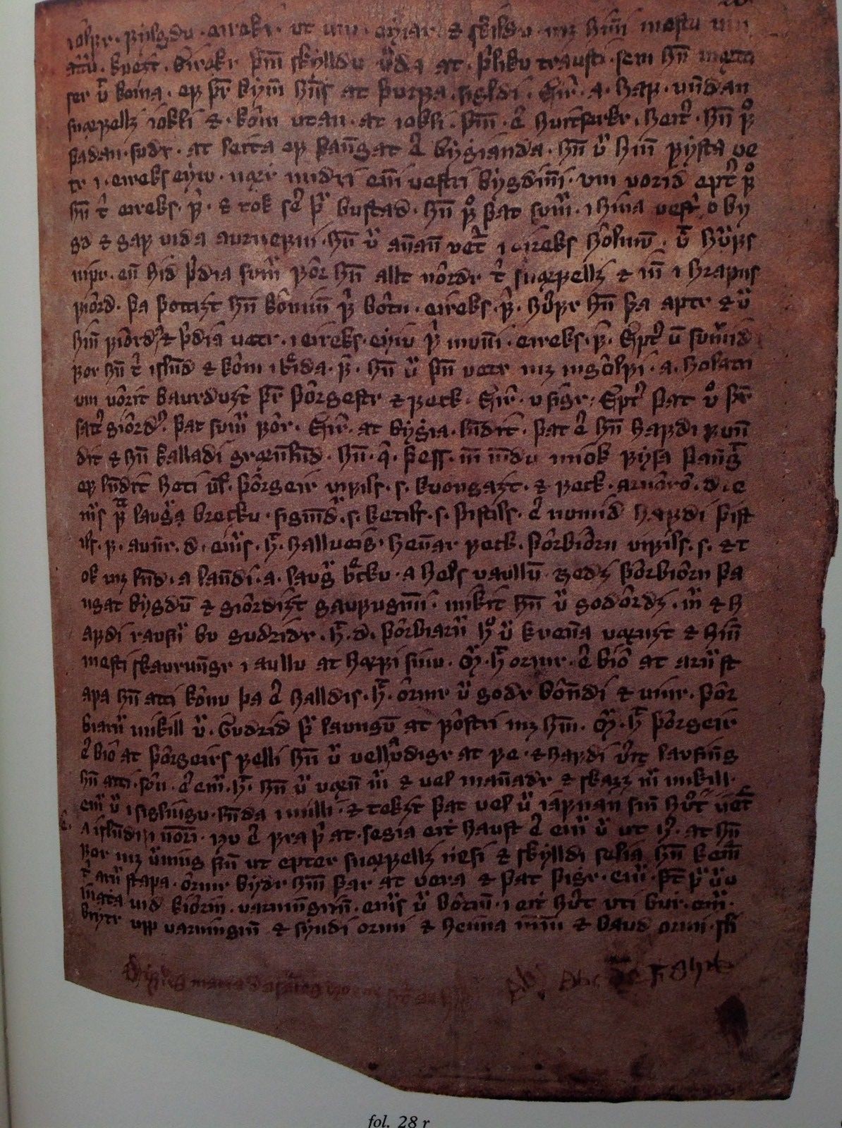 The Viking Discovery of America