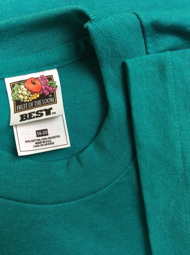 90S FRUIT OF THE LOOM 音符 T-SHIRT Vtg 90s Fruit Of The Loom Plain Teal T-Shirt Youth 18-20