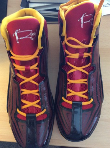 Ds Ray Allen Jordan PE Aero Mania Miami Heat Dual Signed / Auto Shoes