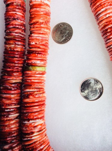 Huge Spiny Oyster Disc Red Beads 22 Inch Strand  8-22 MM Graduated
