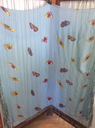 Celadon Rayon Chiffon Butterfly Sequined Fringed Shawl