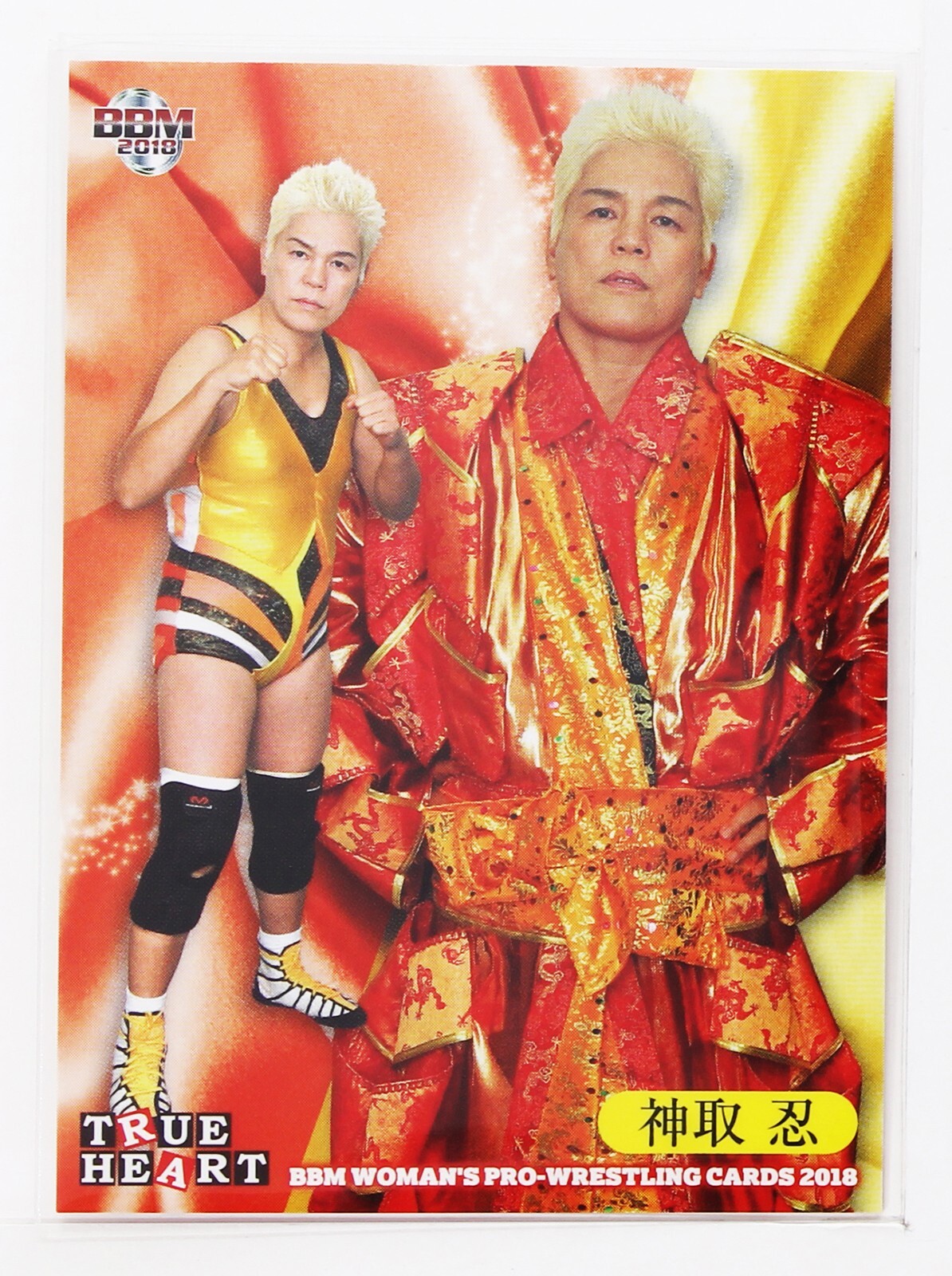 全日本プロレスオフィシャルカード2000　1BOX Yahoo!オークション - プロレスカード BBM2000 No.238 小林健太