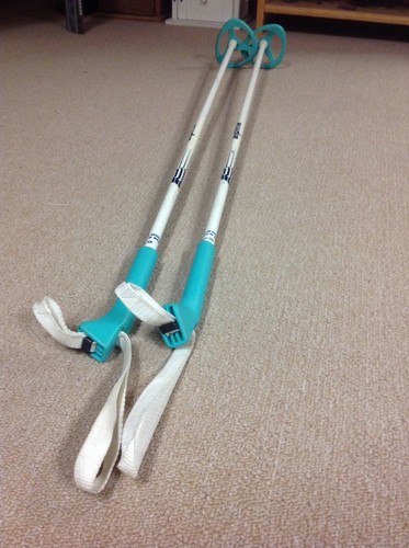 Kids Alpina Junior 105cm Cross Country Ski Poles, Canada