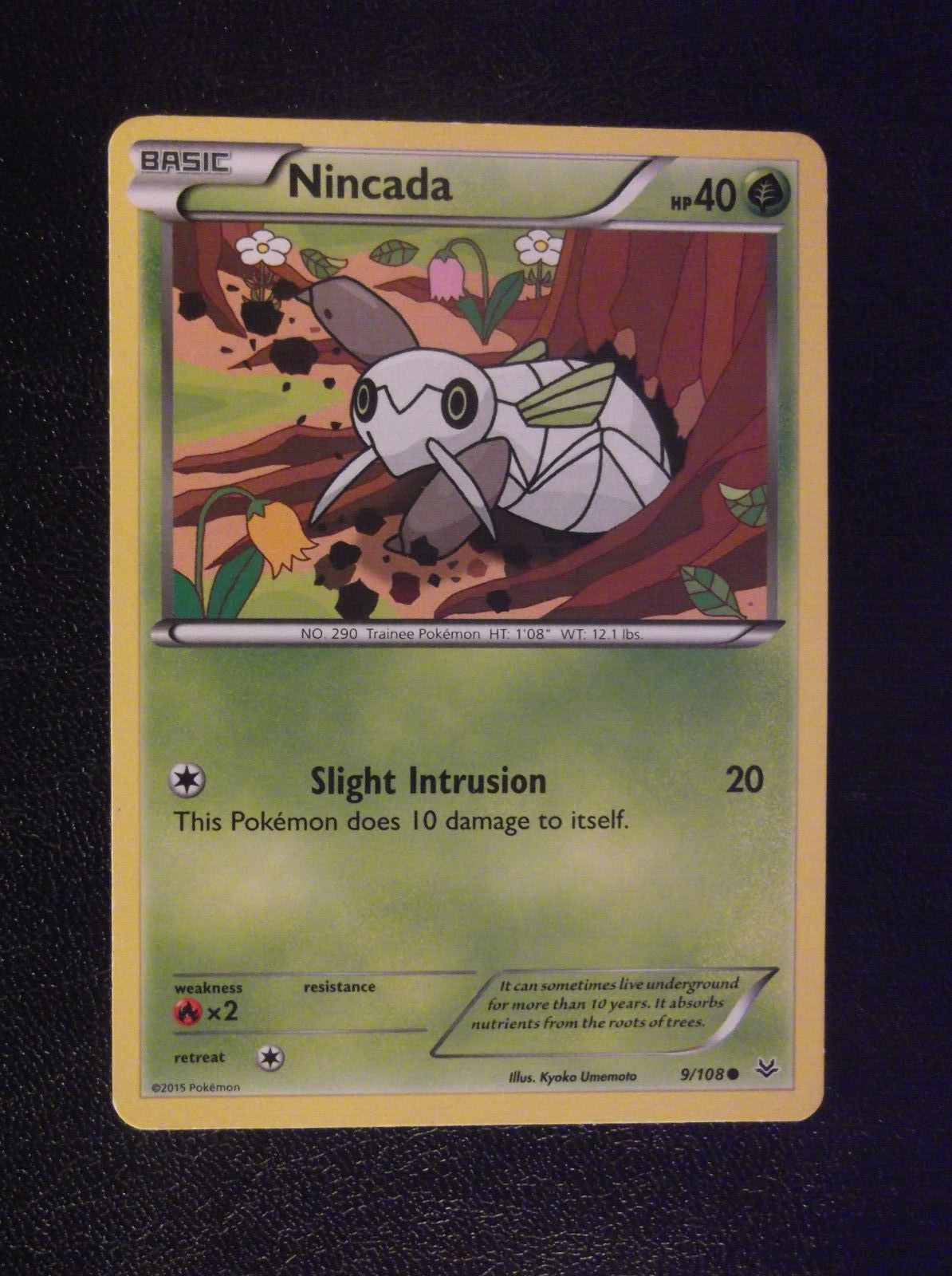 085PK009 -Nincada -9/108 - Roaring Skies - Common * | eBay