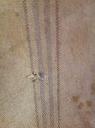 Vintage Fulton A Seamless Cloth Grain/Feed/Flour Sack