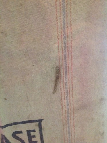 Vintage Chase A Seamless Cloth Flour/Grain Sack