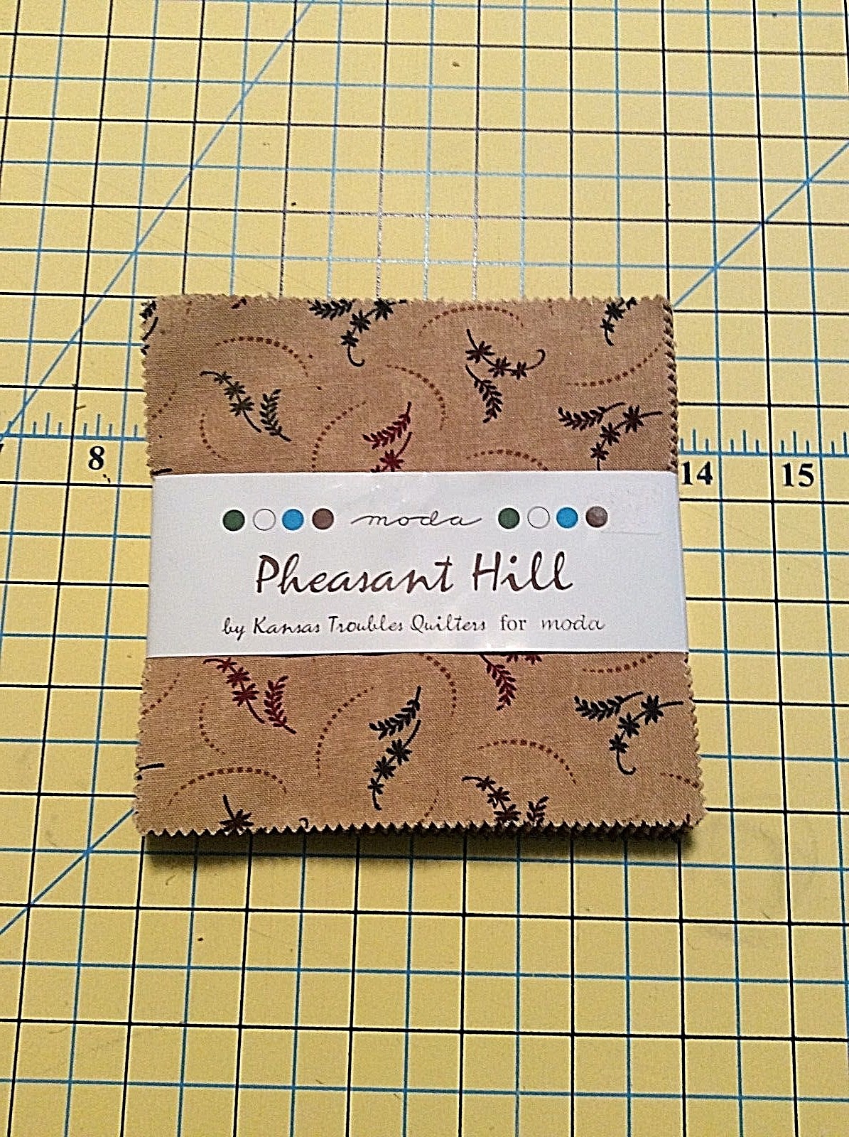 Pheasant Hill Quilting Set; Moda