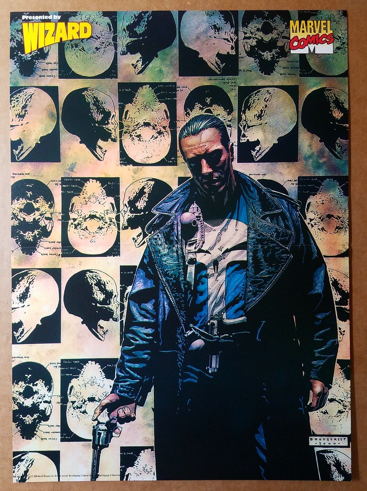 Punisher Skulls Marvel Comics Poster by Tim Bradstreet | eBay