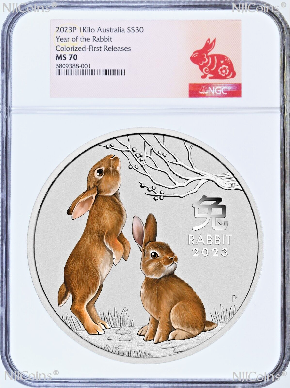 2023 Lunar Year of the RABBIT COLORED Kilo Silver $30 Coin