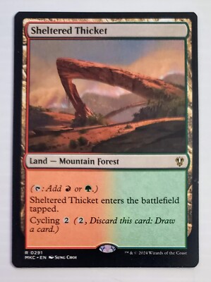X 1 Magic the Gathering MTG Sheltered Thicket (248) Amonkhet  LP