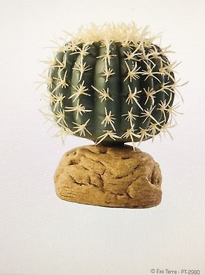 Exo Terra Barrel Cactus Small