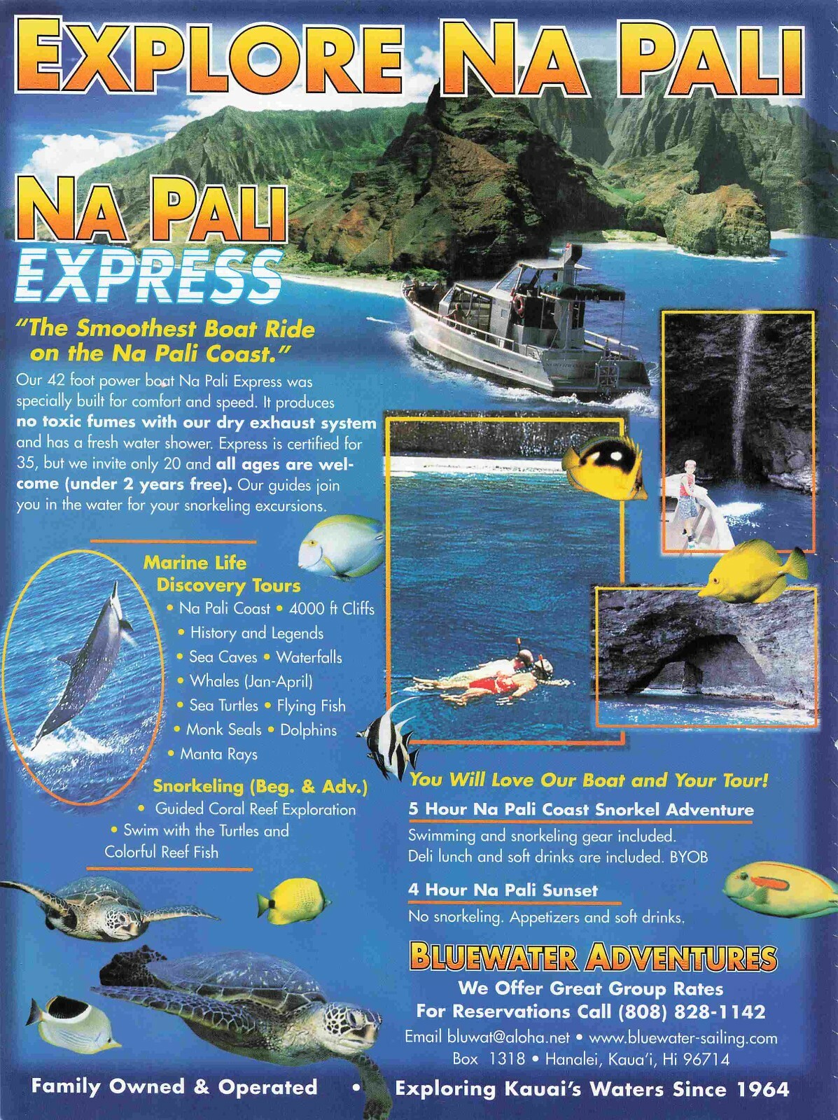 Do Fish Drink Water in the Ocean Exploring Aquatic Myths Sea Ocean Info