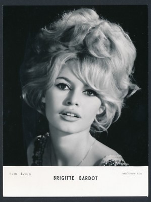 Brigitte Bardot VIES PRIVÉES 写真集 Brigitte Bardot VIES