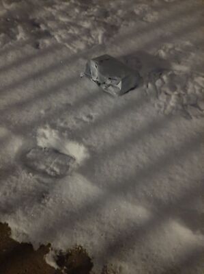 Fotos del artículo de un comprador verificado