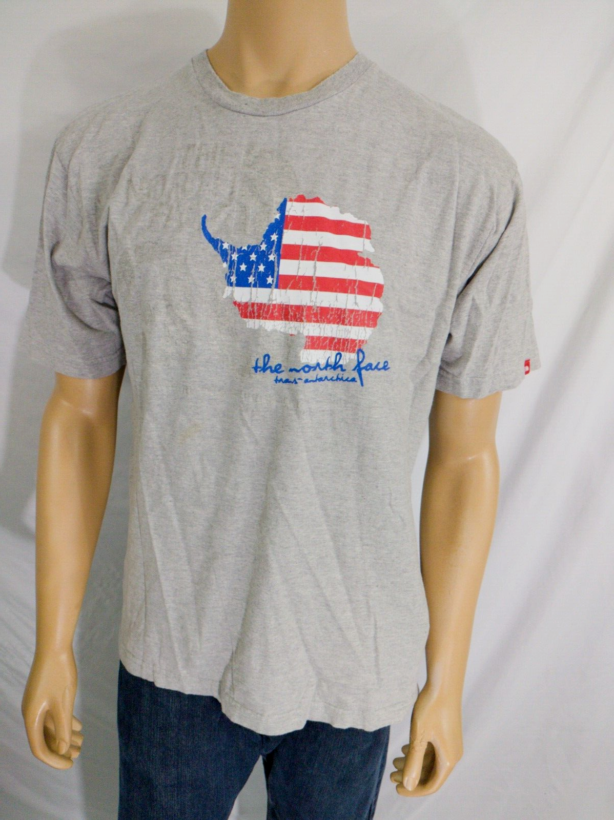 THE NORTH FACE Men's T - Shirt Grey Large SS Trans