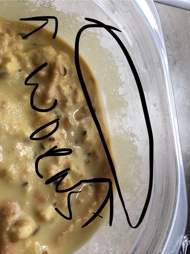 Microworm Starter Culture - HEALTHY 3 Ounces! Active