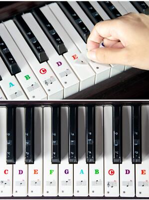 piano╰(*´︶`*)╯♡ Piano Wizard Academy 2.0 Software and Suzuki SPW-49 Keyboard