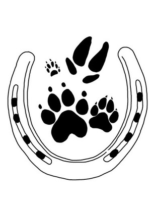 Wayward Ranch Animal Sanctuary