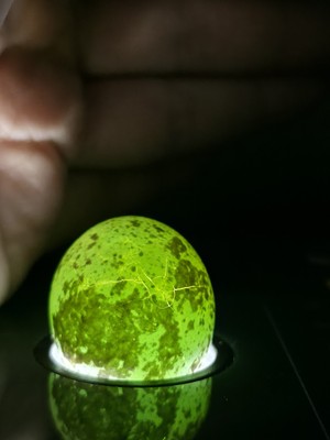 Fotos del artículo de un comprador verificado