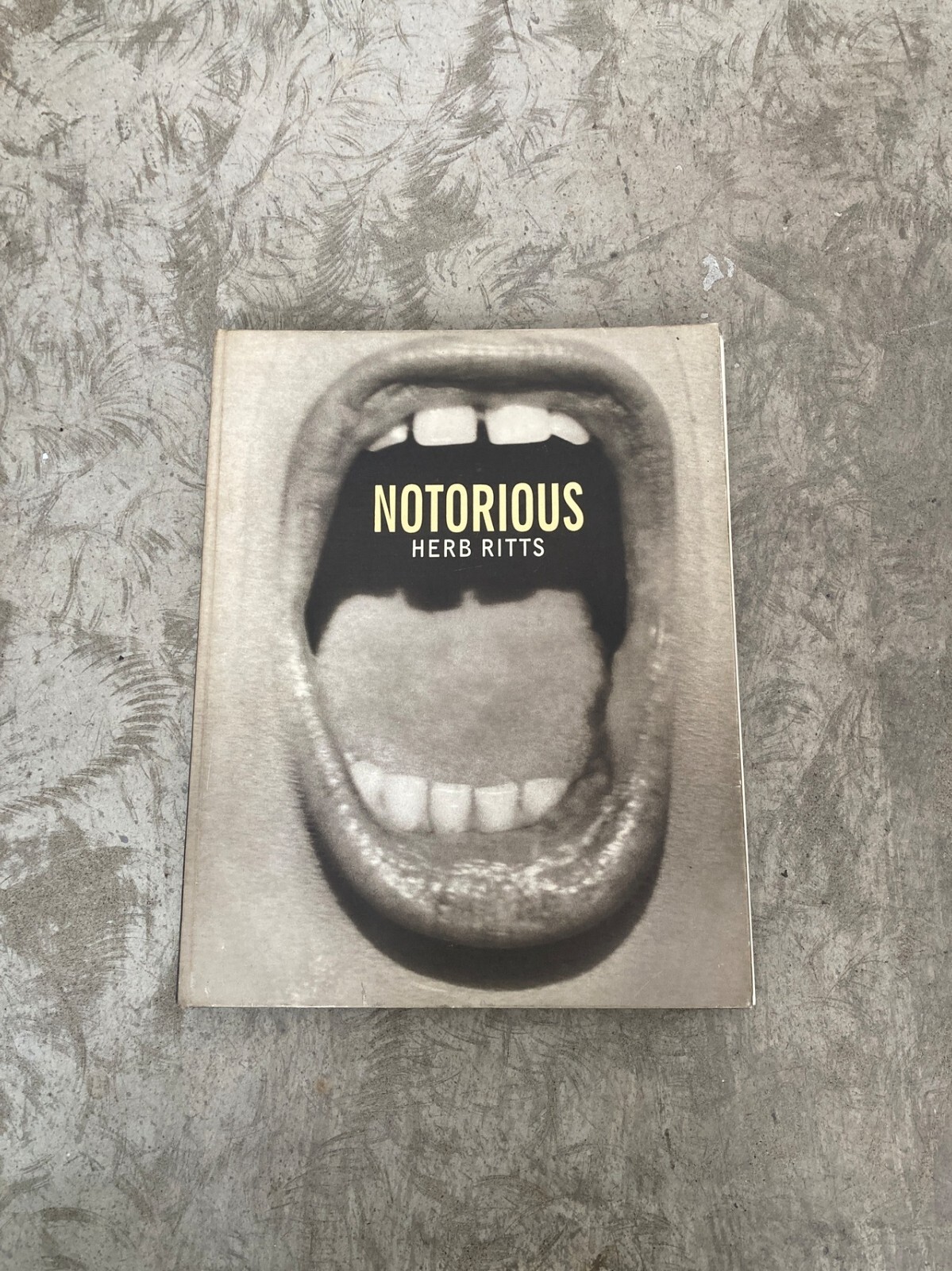 Notorious by Herb Ritts (1992, Hardcover) for sale online | eBay