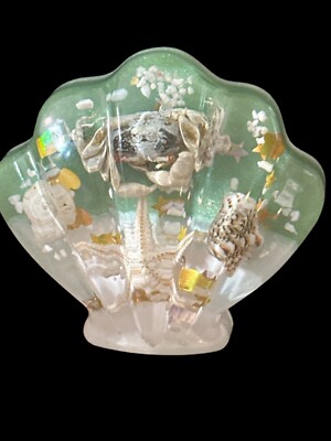 Magnet- CLAM SHELL- Sea Life - Crab Shells- starfish- green white