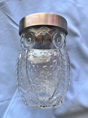 7'' Owl Clear Glass Container w/ Silver Lid