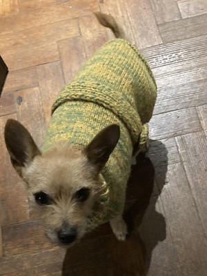 Item photo(s) from verified buyer