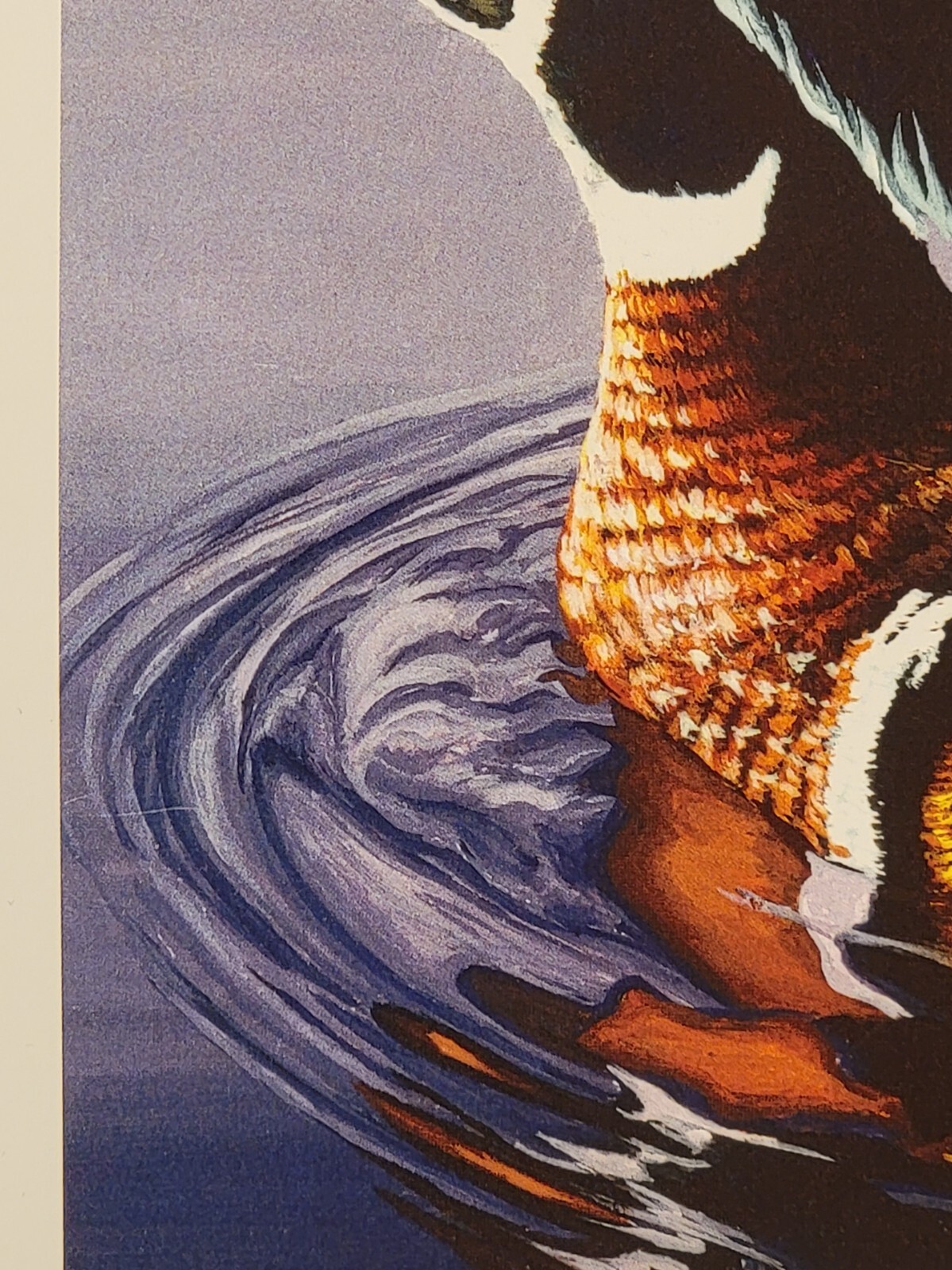 Duck Wall Art Print Sporting Hunting Wood Ducks Signed print Wildlife Decor