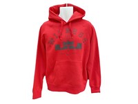 lebron witness hoodie