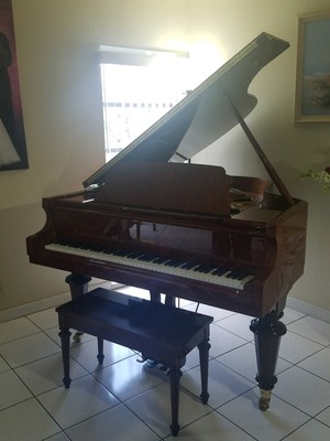 Piano serial number age