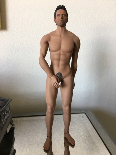 anatomically correct male fashion dolls