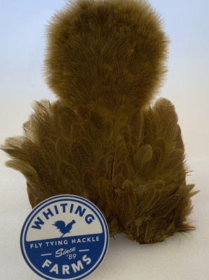 Whiting Farms Brahma Hen Soft Hackle w/Chickabou