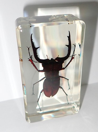 $_12.JPG?set_id=880000500F