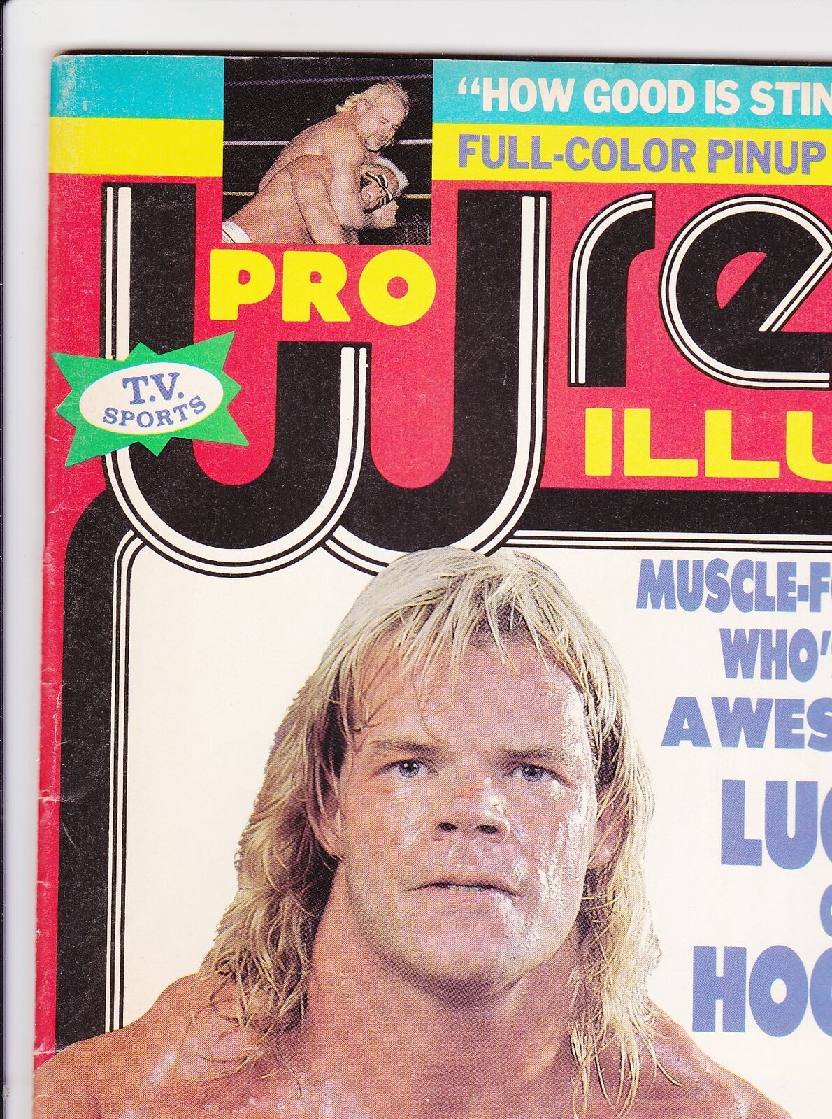 LEX LUGER Gold Belt Wrestling Magazine February 1989 STING