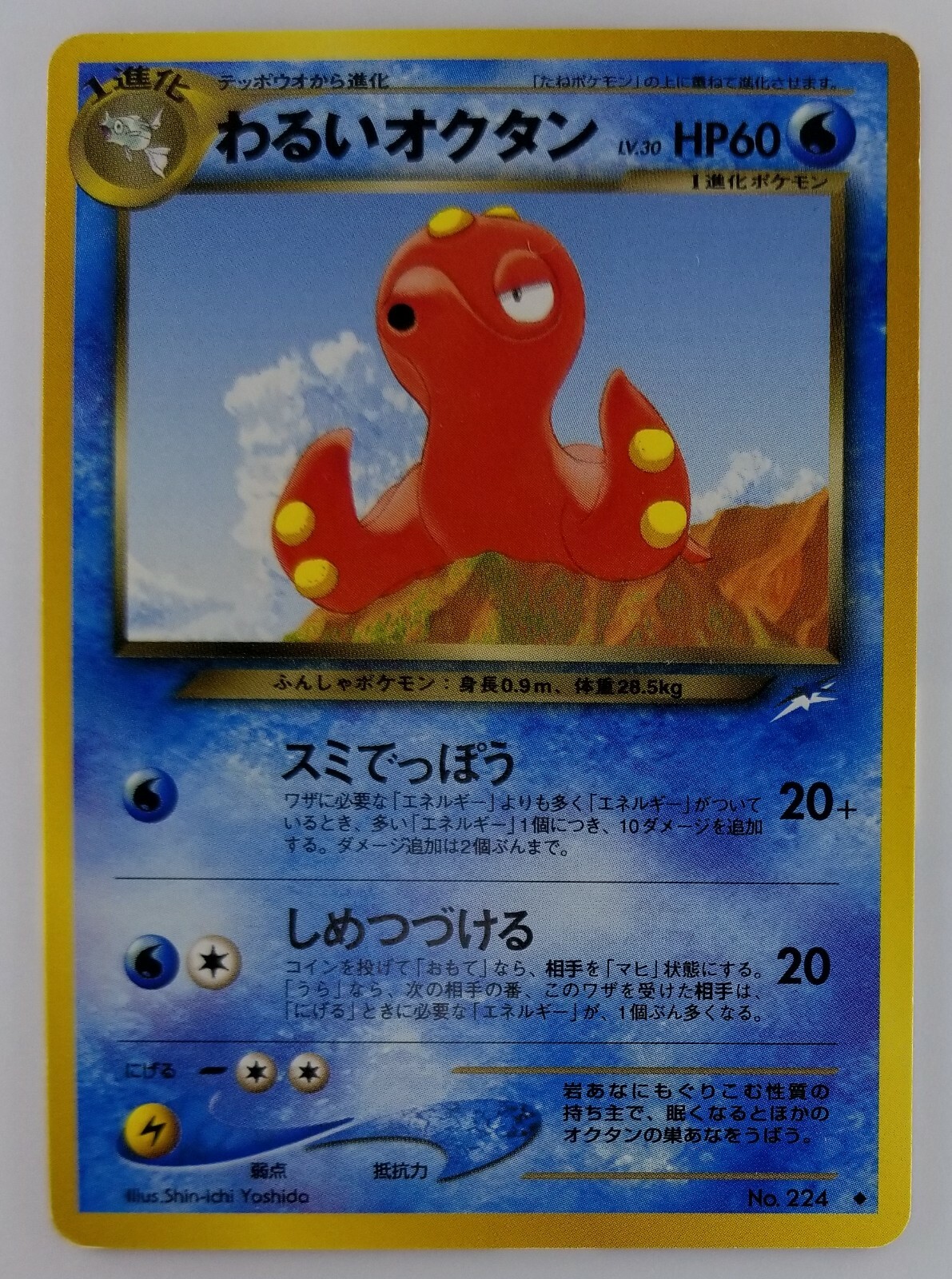 世界12枚 PSA9 オクタン octillery 2000 224 10 Pokemon PSA 9 MINT JAPANESE Octillery (オクタン) No 224 Neo