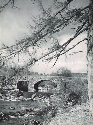 Bridge On The River Tavy Devon Vintage Print Old Picture 1941 IHLE#26