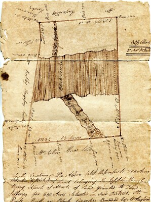 1810 PLAT 306 ACRES COLLETON DIST SC JOSEPH MORRISON ON BLACK CREEK BEN ALLSTON 