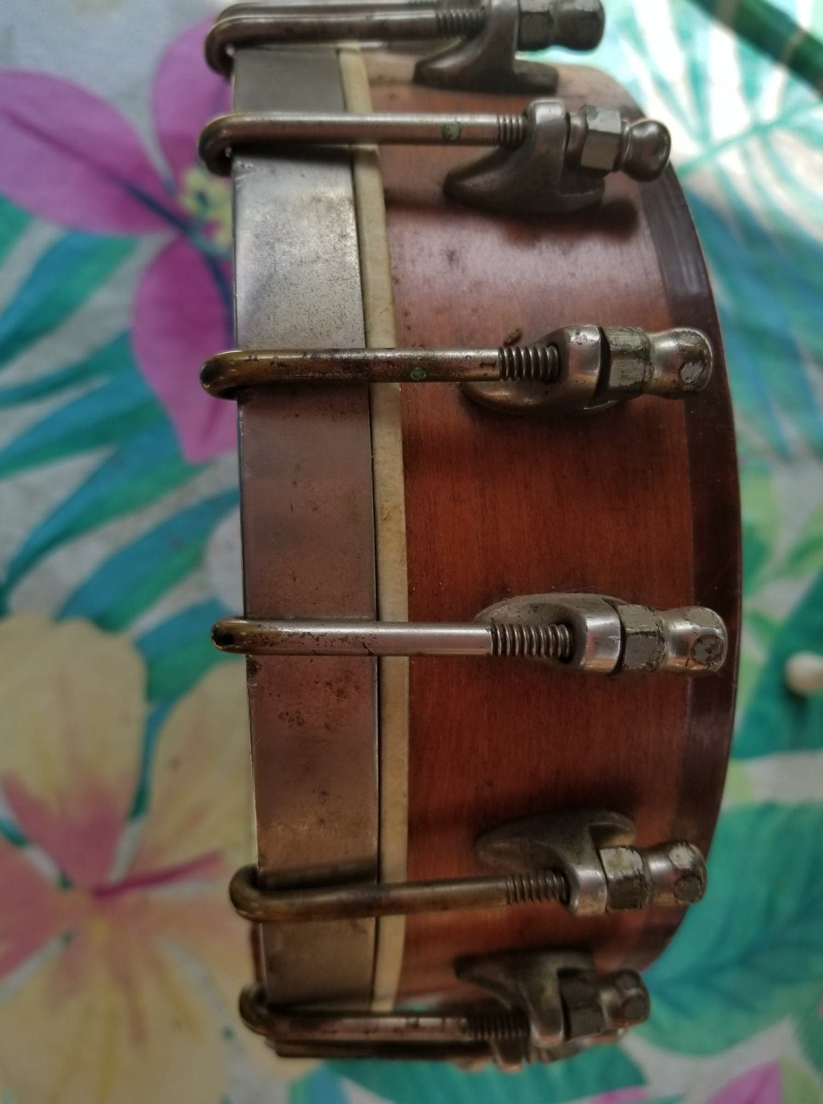Antique Mandolin Banjo by The Vega Company