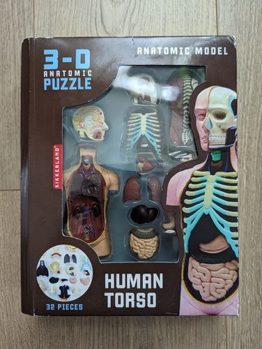 人体模型 KIKKERLAND ANATOMIC PUZZLE HUMAN TORSO Kikkerland Anatomic Model Human Torso 3D Anatomic Puzzle