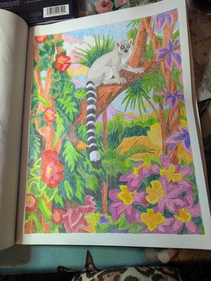 Foto dell'oggetto di un acquirente verificato