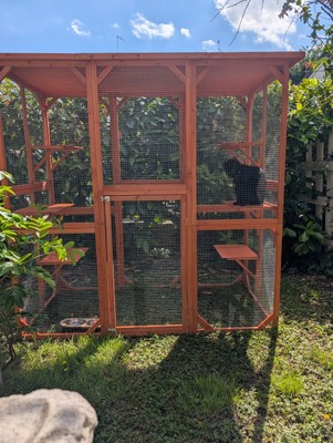 Foto dell'oggetto di un acquirente verificato