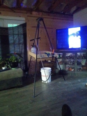 Fotos del artículo de un comprador verificado