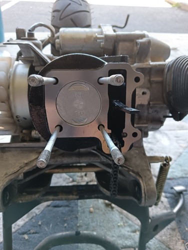 Fotos del artículo de un comprador verificado
