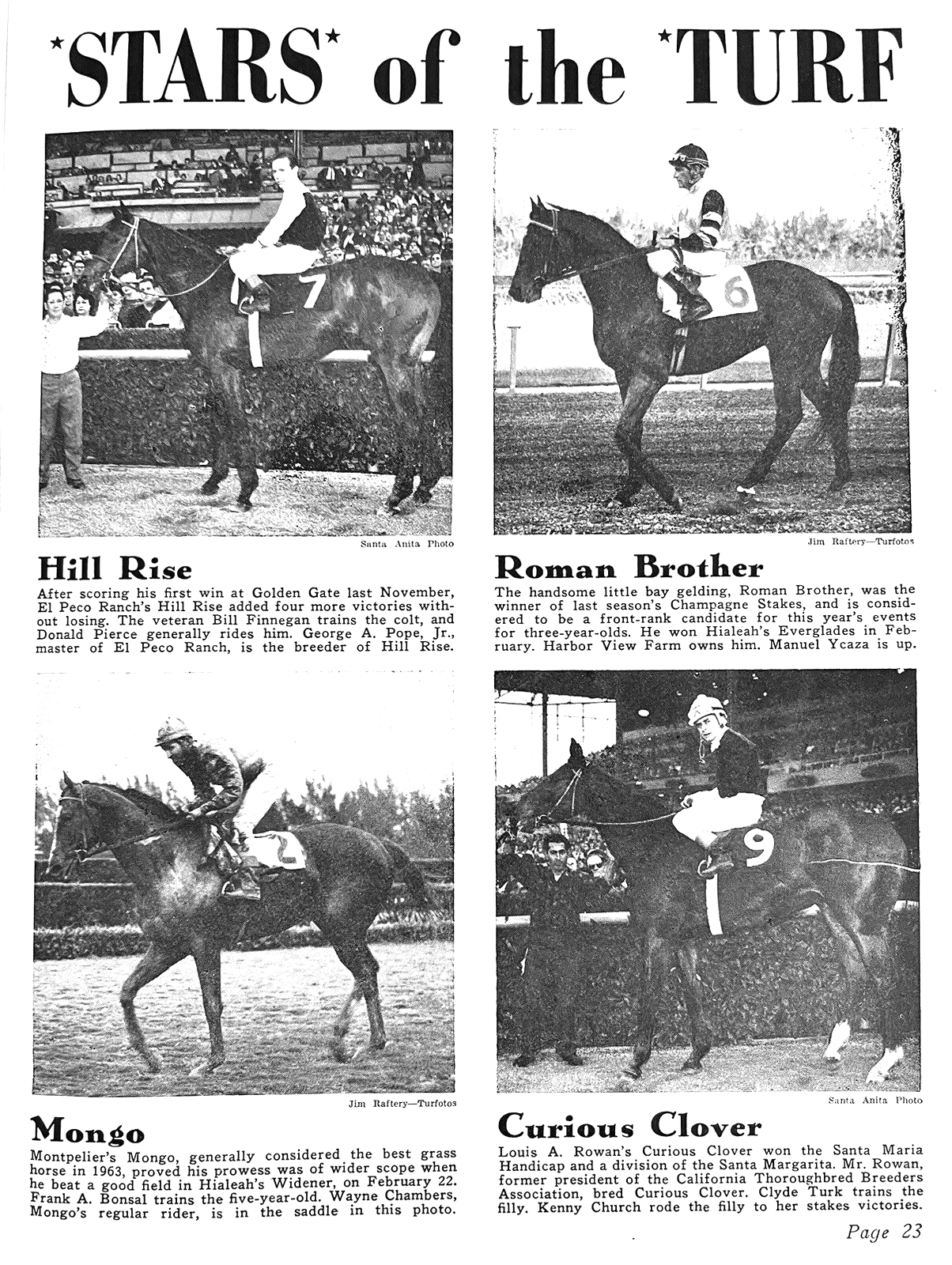 競走馬ハンドブック = THE RACEHORSE HANDBOOK 競走馬ハンドブック | 日本ウマ科学会 |本 | 通販 | Amazon