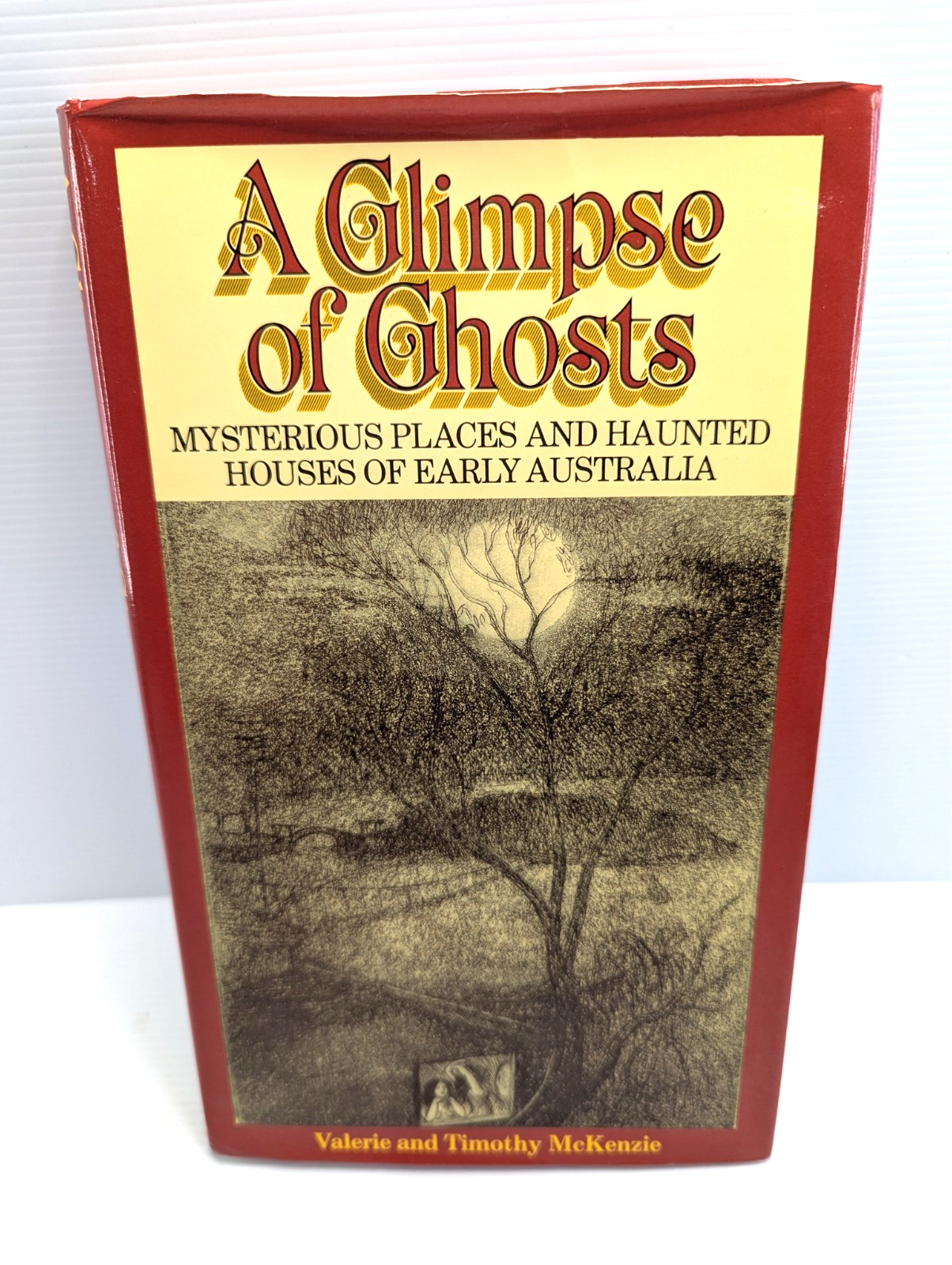 A Glimpse Of Ghosts by Valerie McKenzie, Timothy McKenzie