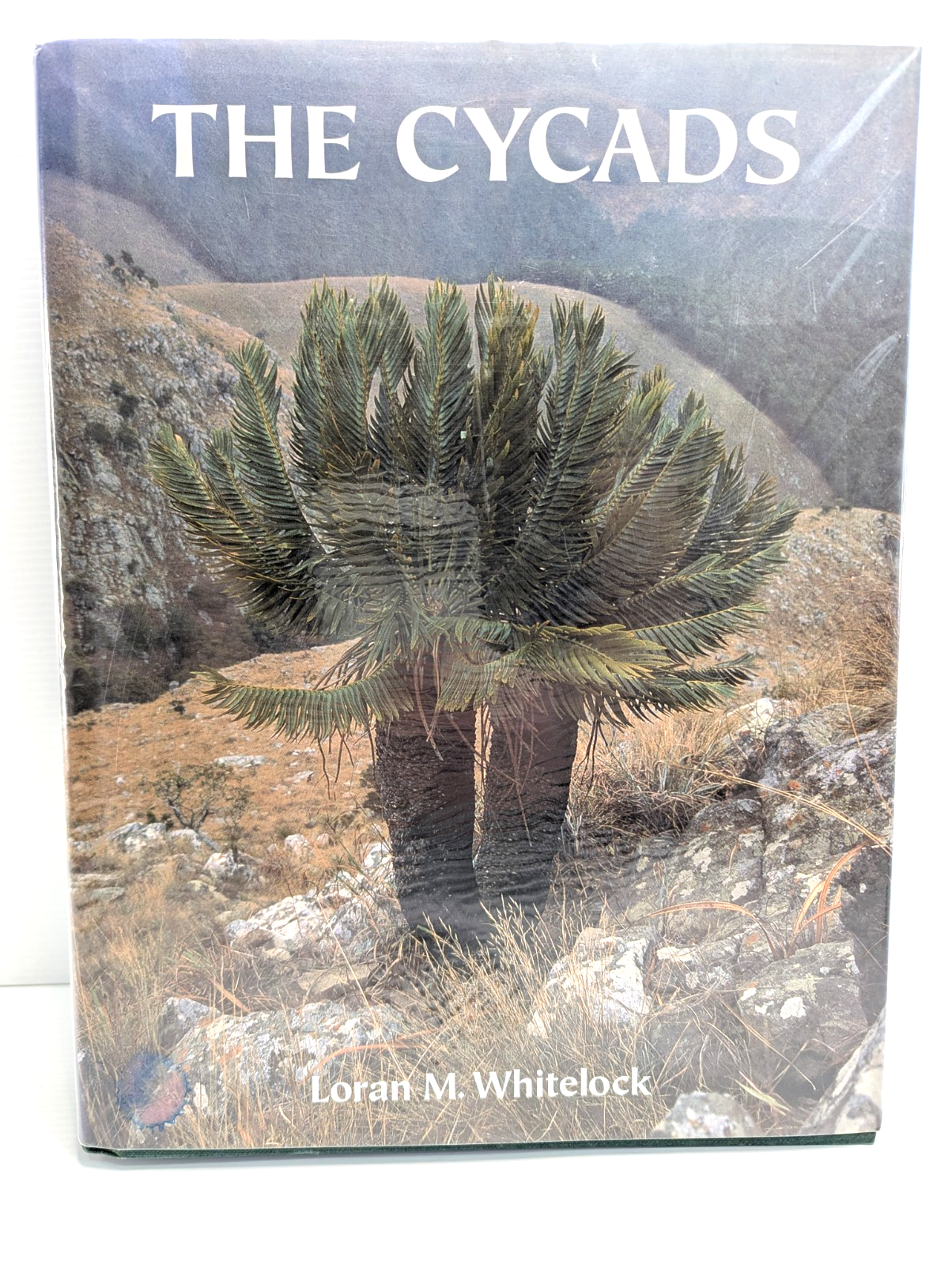 Cycads by Loran M. Whitelock