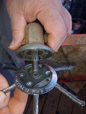 Fotos del artículo de un comprador verificado